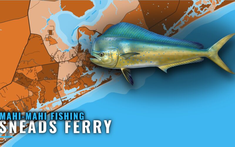 Mahi-mahi fishing out of Sneads Ferry: where to look
