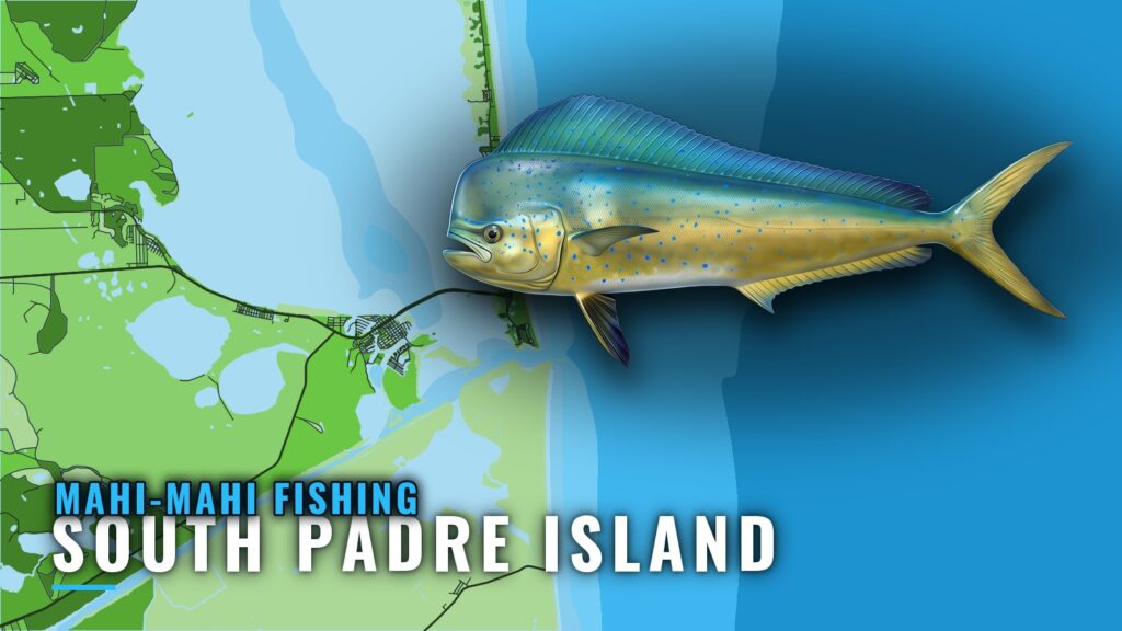Mahi-Mahi Fishing out of South Padre Island: Where to Look