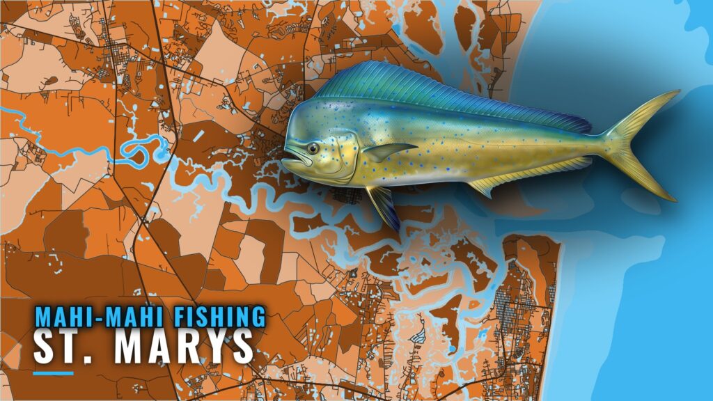 Mahi-Mahi Fishing Out of St. Marys: Runs, Reefs, Ledge