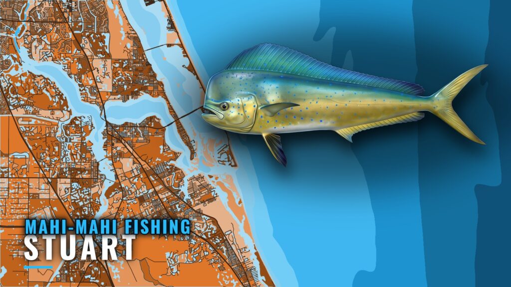 Mahi-Mahi Fishing Out of Stuart: Season, Grounds, Methods