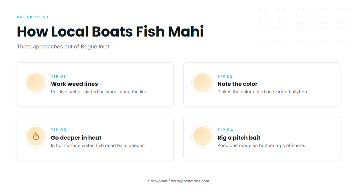How mahi are fished out of Swansboro
