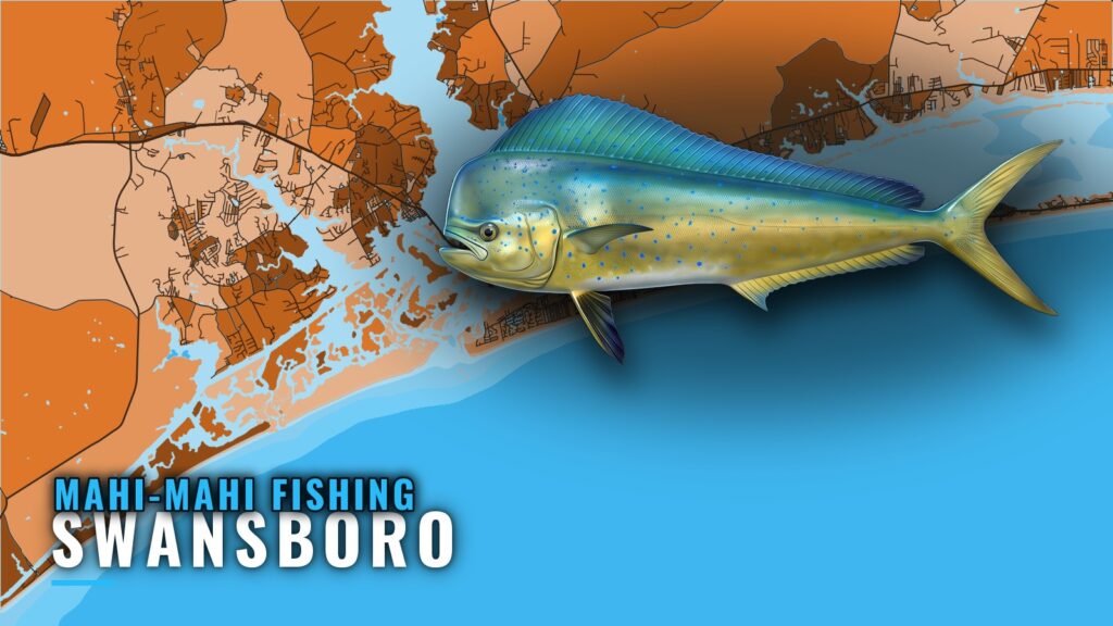 Mahi-mahi fishing out of Swansboro: marks, months and bait