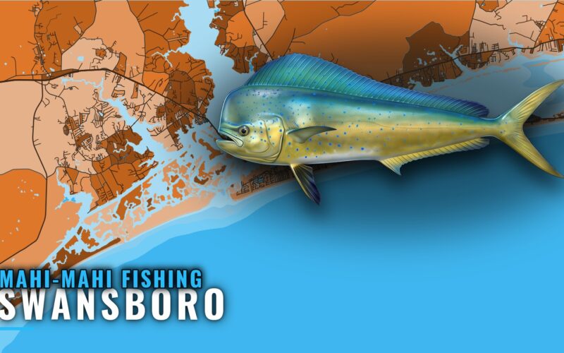 Mahi-mahi fishing out of Swansboro: marks, months and bait
