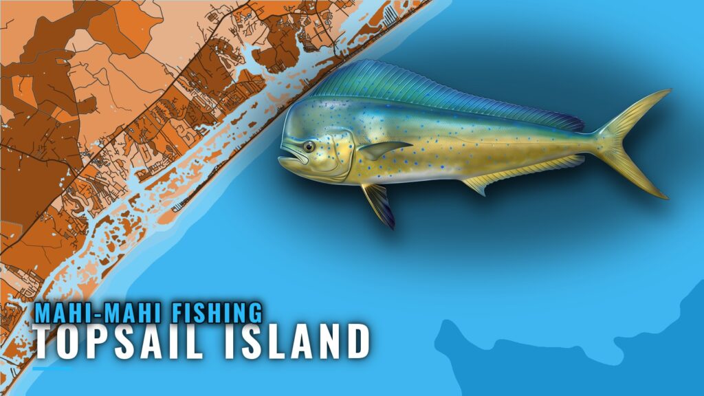 Mahi-mahi fishing out of Topsail Island: How Far to Run