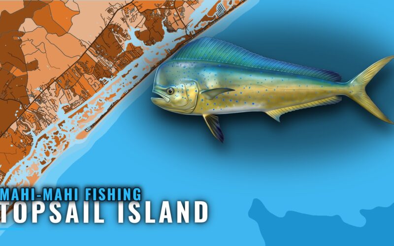 Mahi-mahi fishing out of Topsail Island: How Far to Run