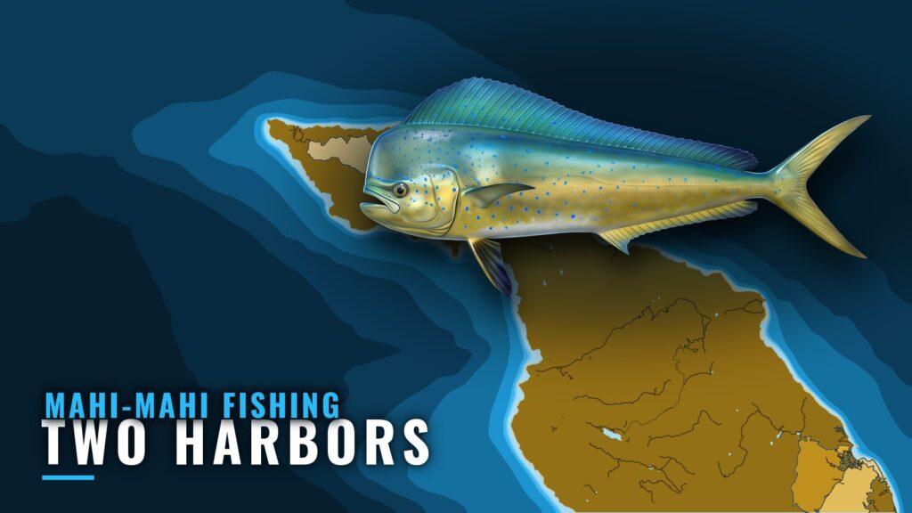 Mahi-mahi Fishing Out of Two Harbors: Isthmus Structure