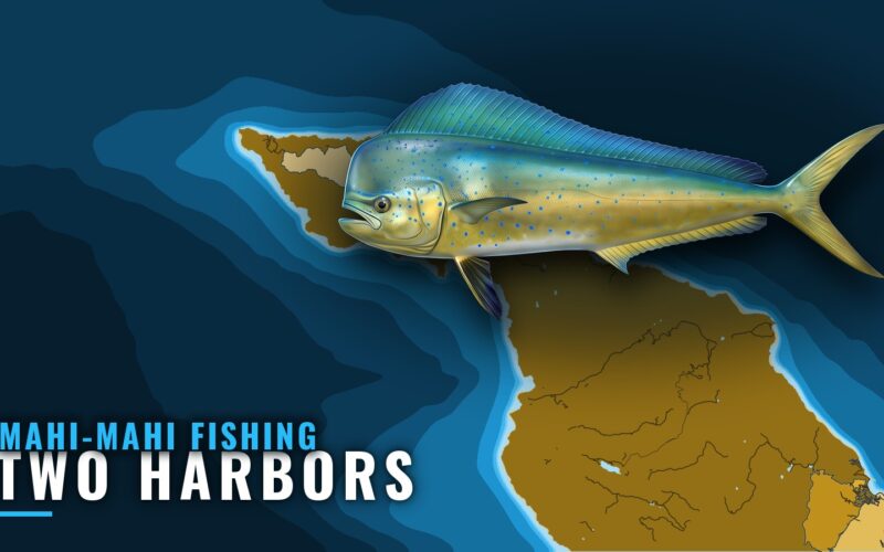 Mahi-mahi Fishing Out of Two Harbors: Isthmus Structure