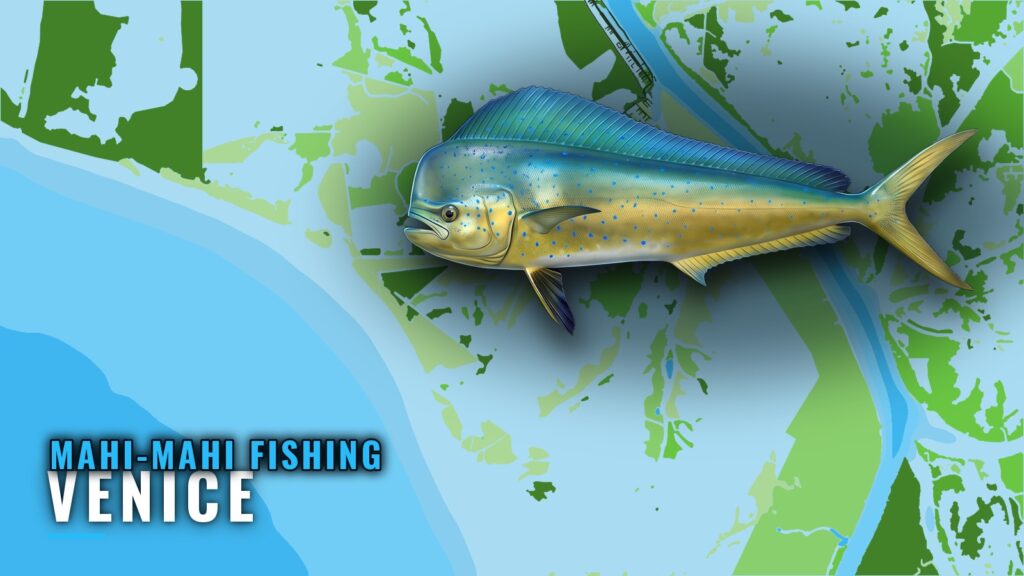 Mahi-mahi Fishing Out of Venice: Rigs, Lumps and Canyons