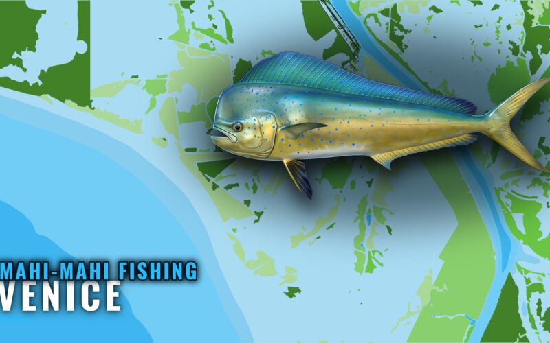 Mahi-mahi Fishing Out of Venice: Rigs, Lumps and Canyons