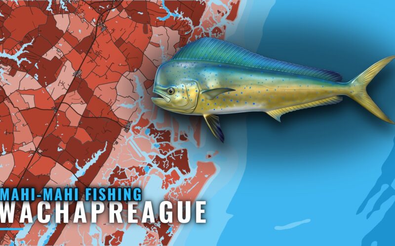 Mahi-mahi Fishing Out of Wachapreague: Lumps and Canyons