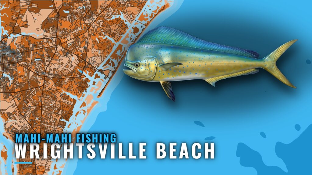 Mahi-mahi Fishing out of Wrightsville Beach: Runs, Reefs