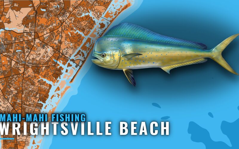 Mahi-mahi Fishing out of Wrightsville Beach: Runs, Reefs
