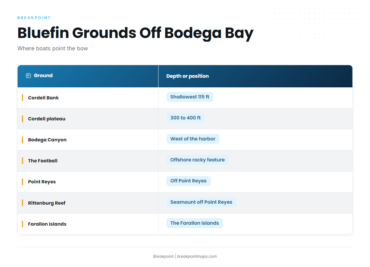 Where Boats Run and the Structure That Holds Fish