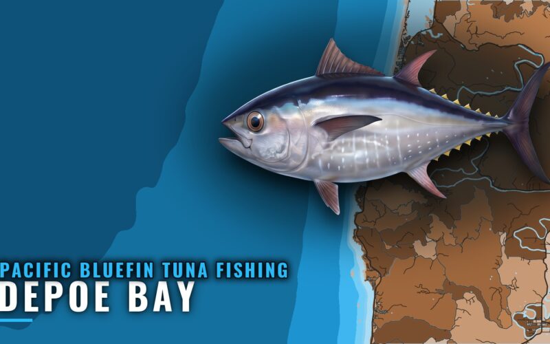 Pacific Bluefin Tuna Fishing Out of Depoe Bay, Oregon