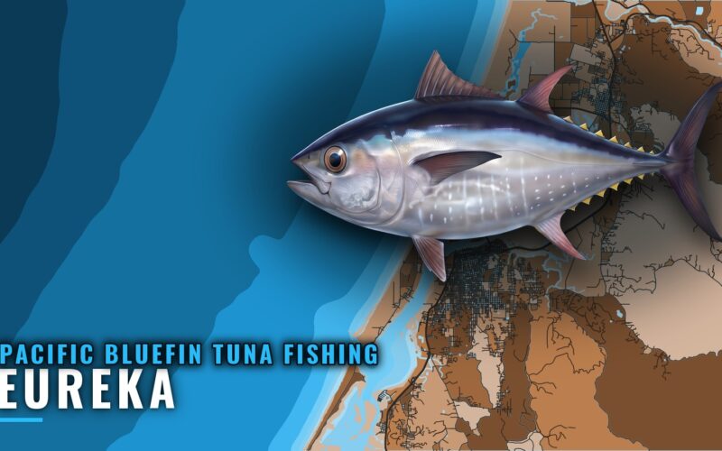 Pacific bluefin tuna fishing out of Eureka: port guide