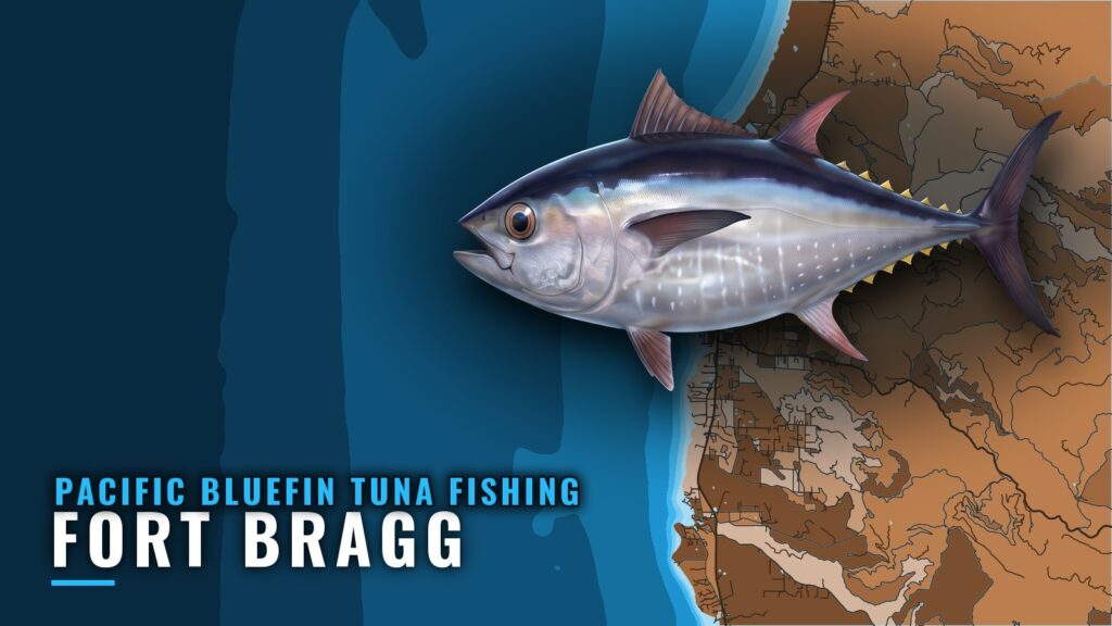 Pacific Bluefin Tuna Fishing Out of Fort Bragg: Noyo Harbor