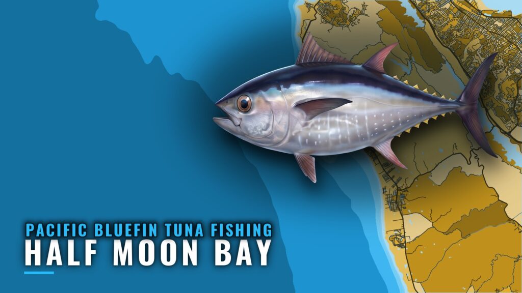 Pacific Bluefin Tuna Fishing Out of Half Moon Bay: A Guide