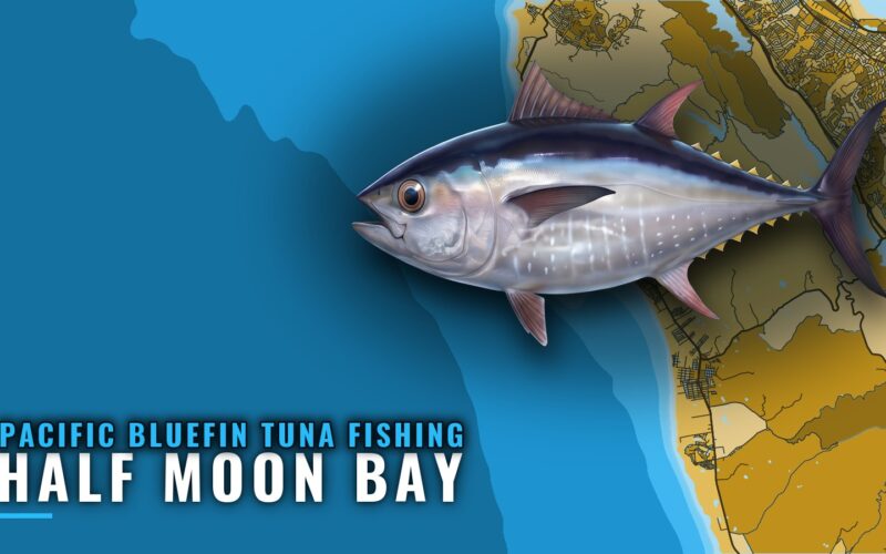 Pacific Bluefin Tuna Fishing Out of Half Moon Bay: A Guide