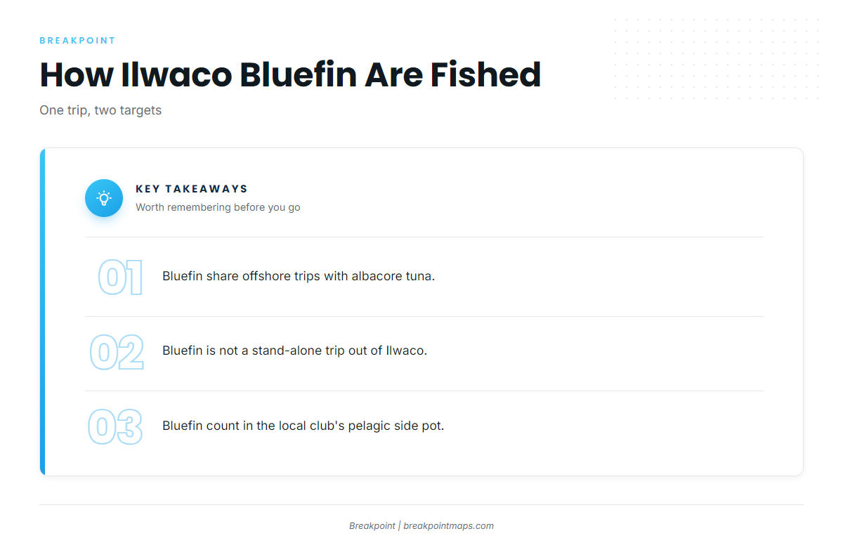 How bluefin are fished out of Ilwaco