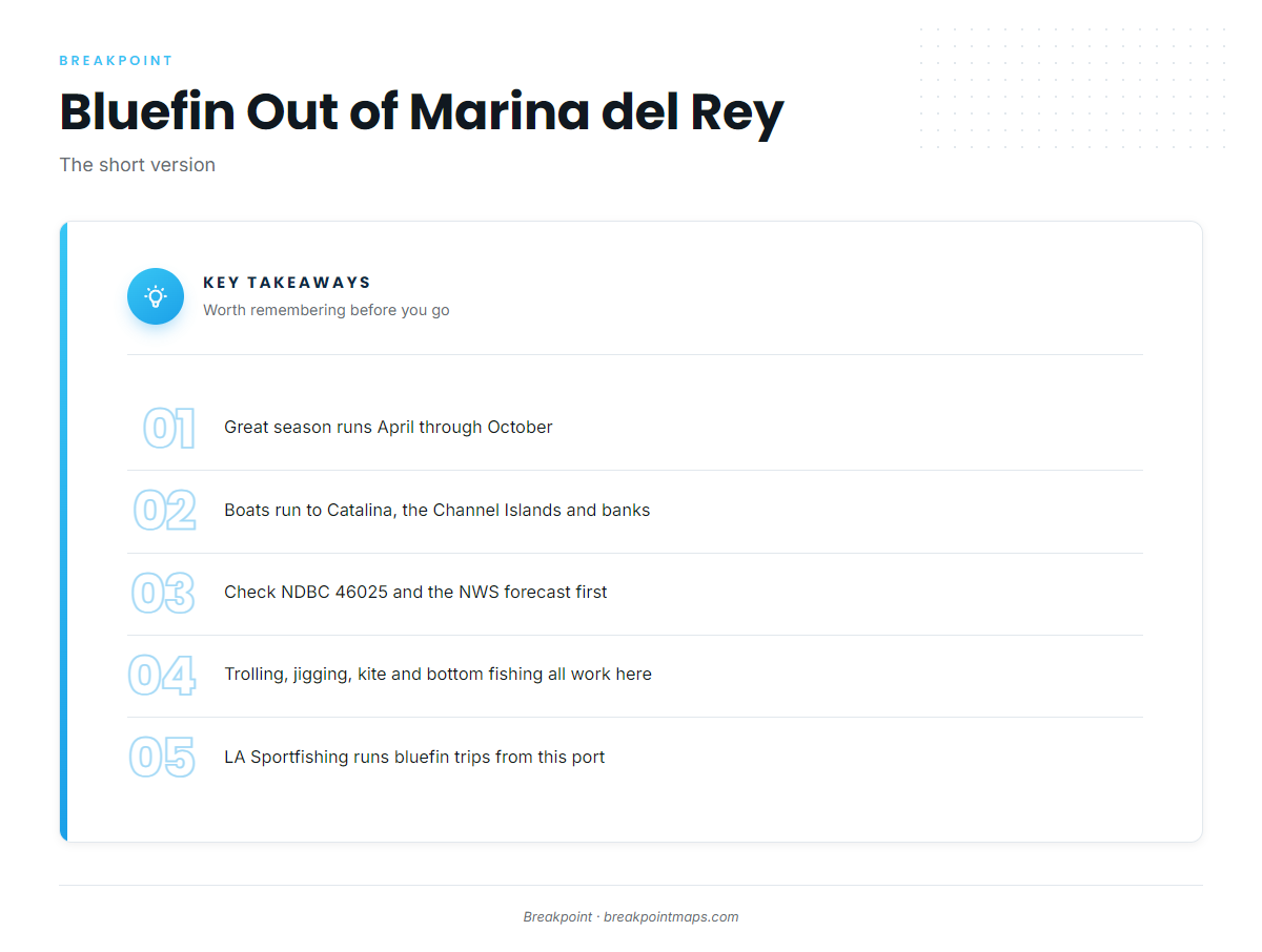 FAQ: Pacific bluefin out of Marina del Rey