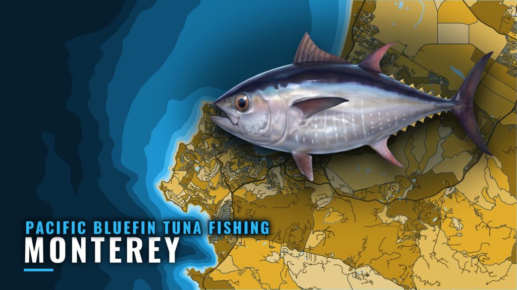 Pacific Bluefin Tuna Fishing Out of Monterey: Runs, Buoys