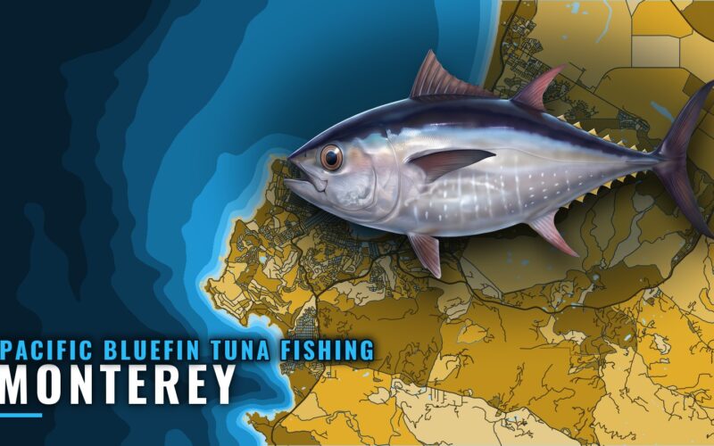 Pacific Bluefin Tuna Fishing Out of Monterey: Runs, Buoys