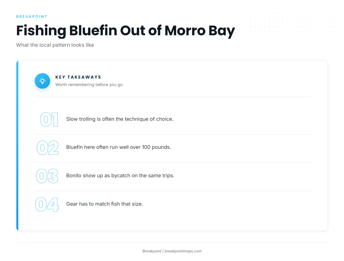 How bluefin are fished locally
