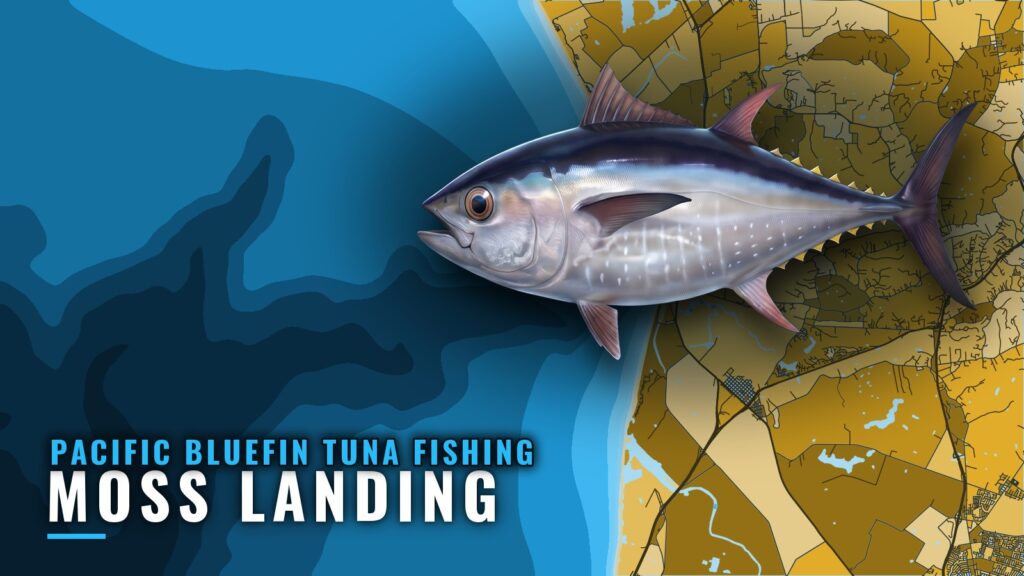 Pacific bluefin tuna fishing out of Moss Landing: The Run