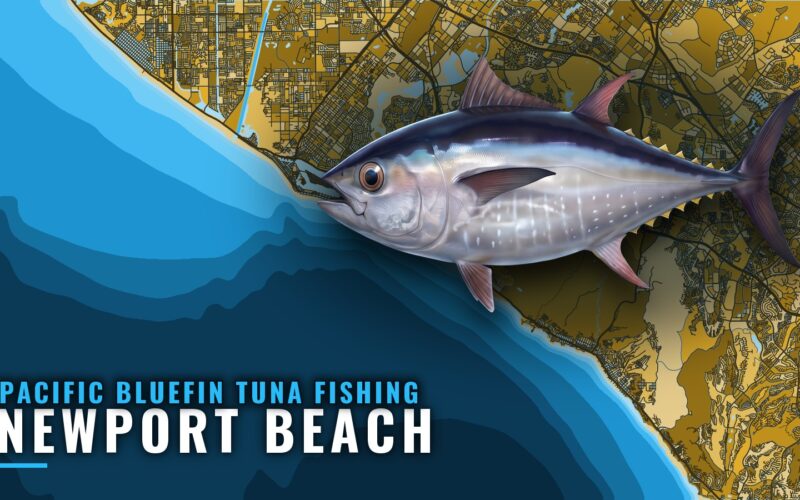 Pacific bluefin tuna fishing out of Newport Beach, CA