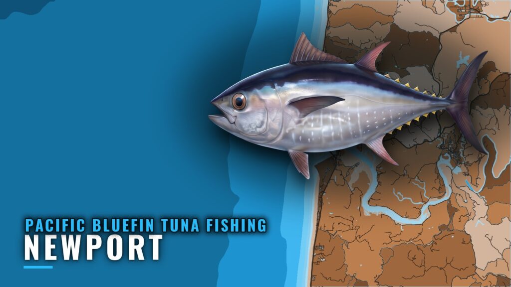 Pacific Bluefin Tuna Fishing Out of Newport, Oregon