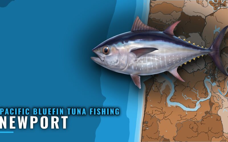 Pacific Bluefin Tuna Fishing Out of Newport, Oregon
