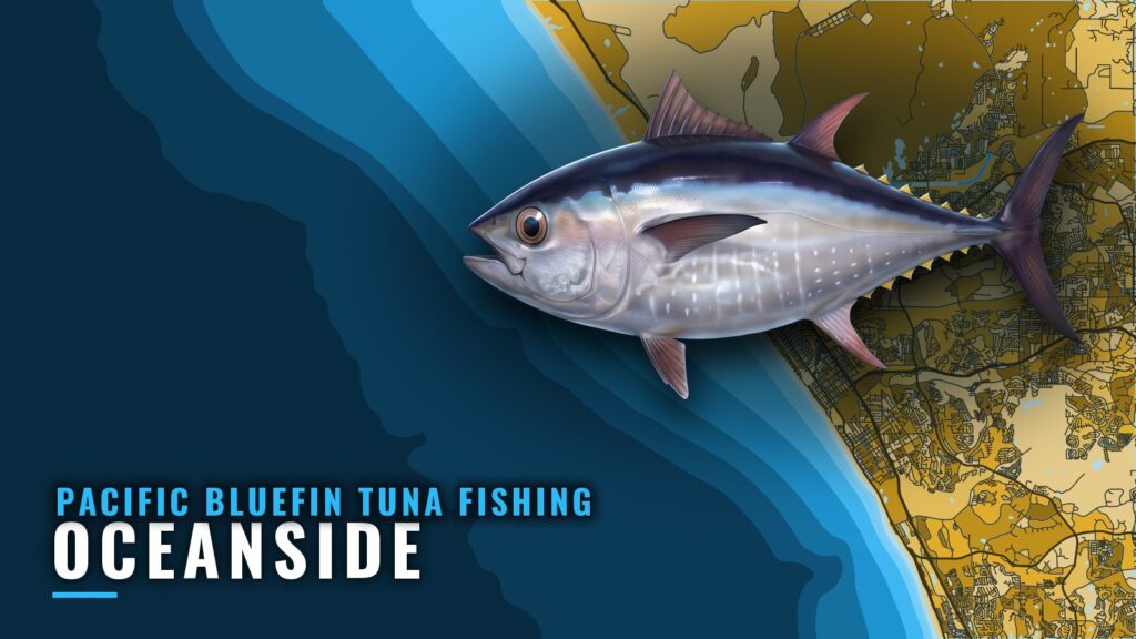 Pacific Bluefin Tuna Fishing Out of Oceanside: Port Guide