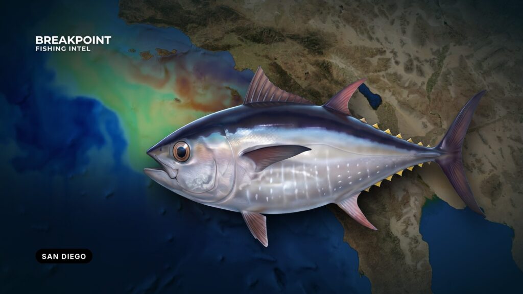 Pacific Bluefin Tuna Fishing off San Diego: A Local Guide