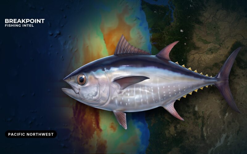 Pacific Bluefin Tuna Fishing in the Pacific Northwest