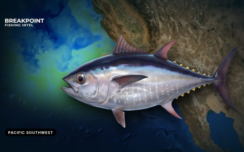 Pacific Bluefin Tuna Fishing in the Pacific Southwest