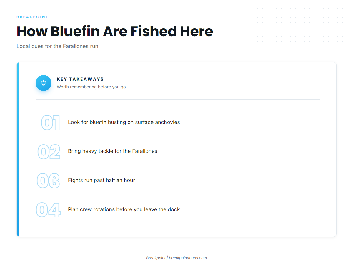 How bluefin are fished here