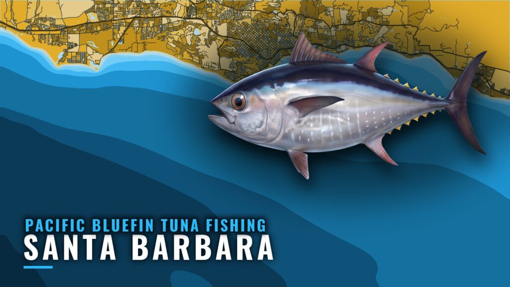 Pacific Bluefin Tuna Fishing Out of Santa Barbara Guide