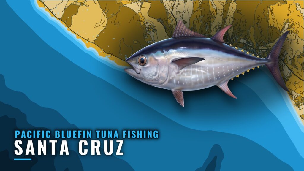 Pacific Bluefin Tuna Fishing Out of Santa Cruz: The Grounds