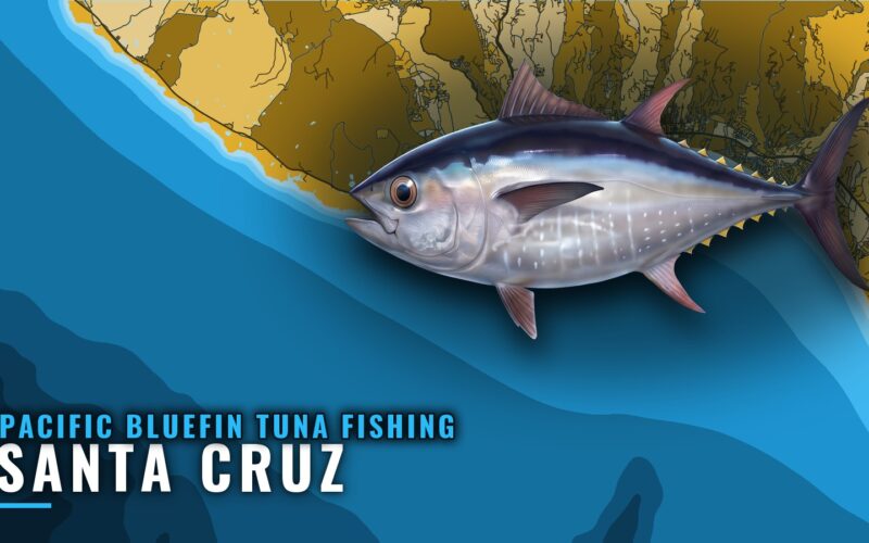 Pacific Bluefin Tuna Fishing Out of Santa Cruz: The Grounds