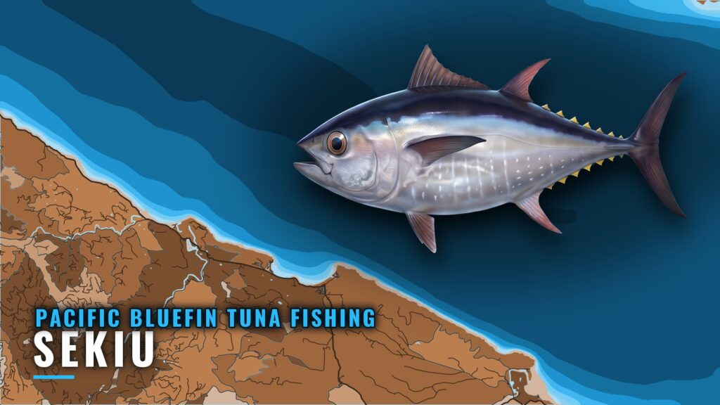 Pacific Bluefin Tuna Fishing Out of Sekiu: Grounds and Data