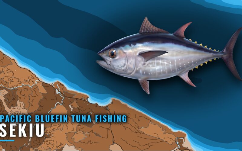 Pacific Bluefin Tuna Fishing Out of Sekiu: Grounds and Data