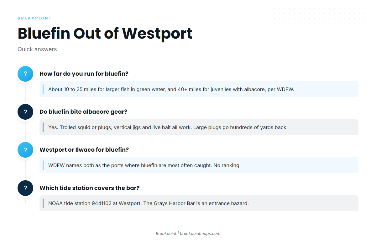 FAQ: bluefin tuna out of Westport