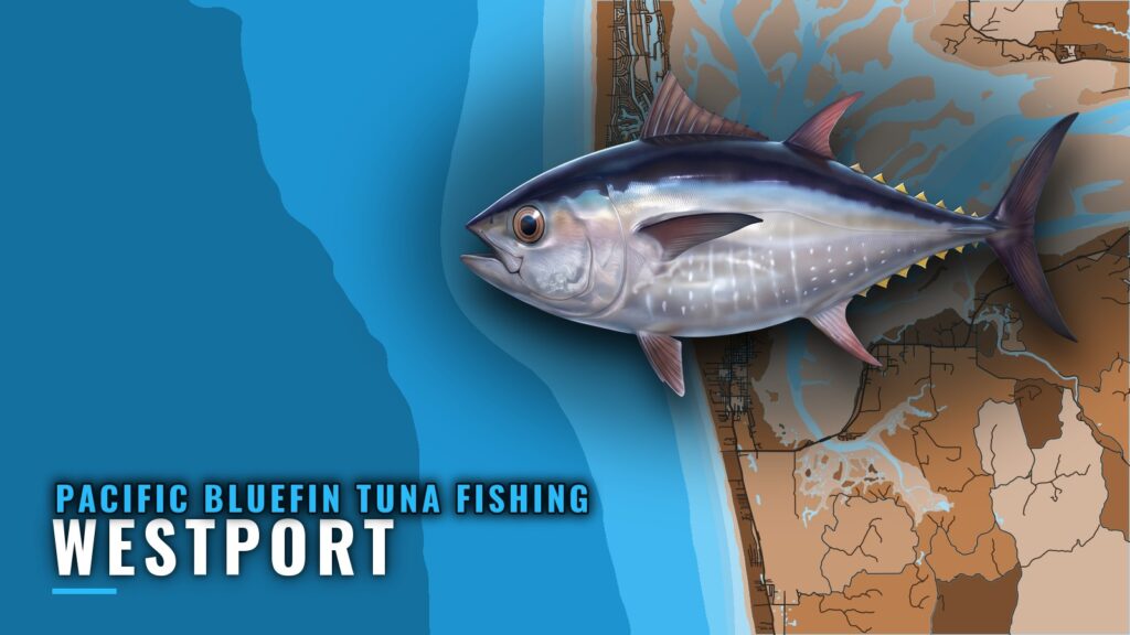 Pacific Bluefin Tuna Fishing Out of Westport: Where to Run