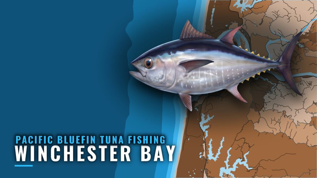 Pacific bluefin tuna fishing out of Winchester Bay, Oregon