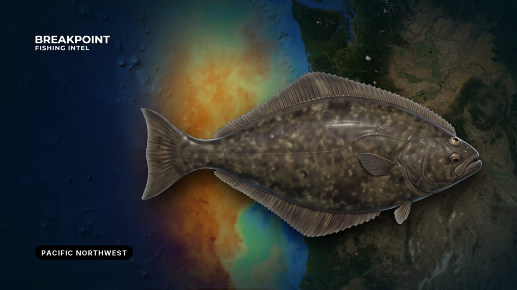 West Coast Groundfish and Pacific Halibut Federal Rules