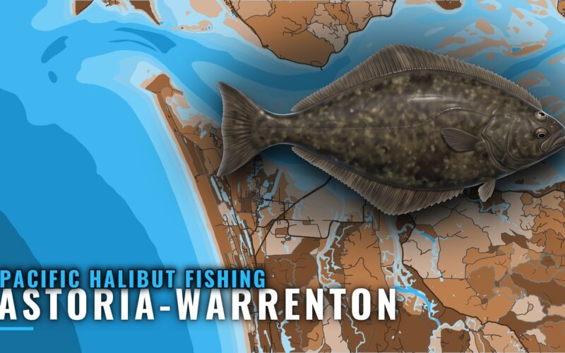 Pacific Halibut Fishing Out of Astoria-Warrenton, Oregon