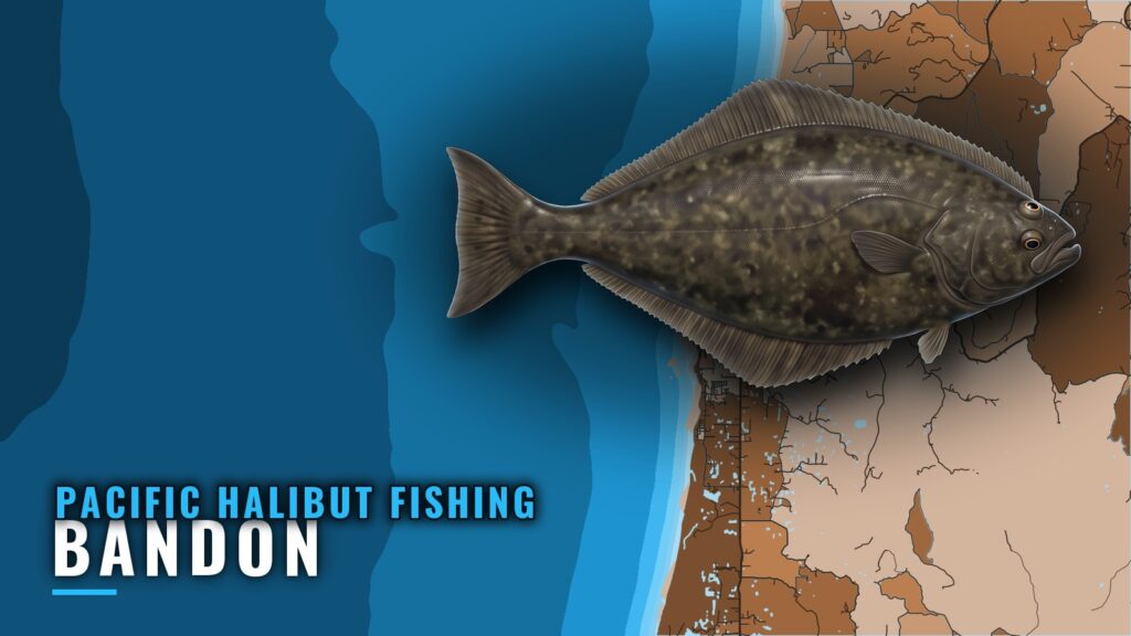 Pacific Halibut Fishing Out of Bandon: Bar, Season, Boats