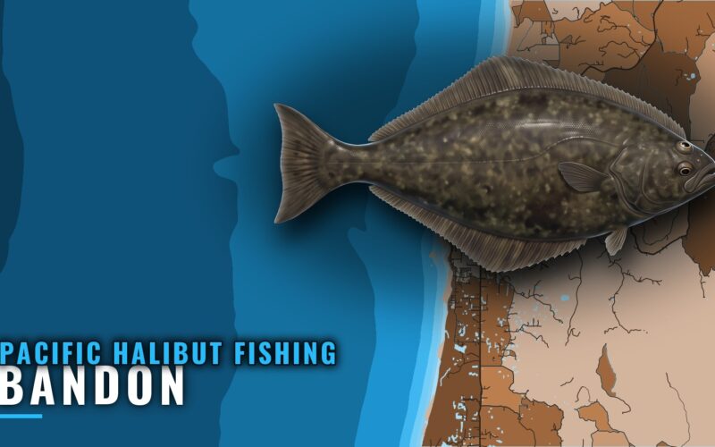 Pacific Halibut Fishing Out of Bandon: Bar, Season, Boats