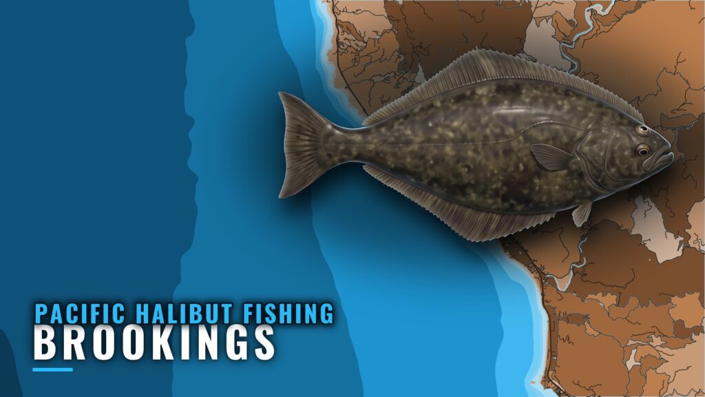 Pacific Halibut Fishing Out of Brookings: Where and How