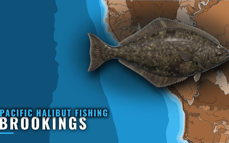 Pacific Halibut Fishing Out of Brookings: Where and How